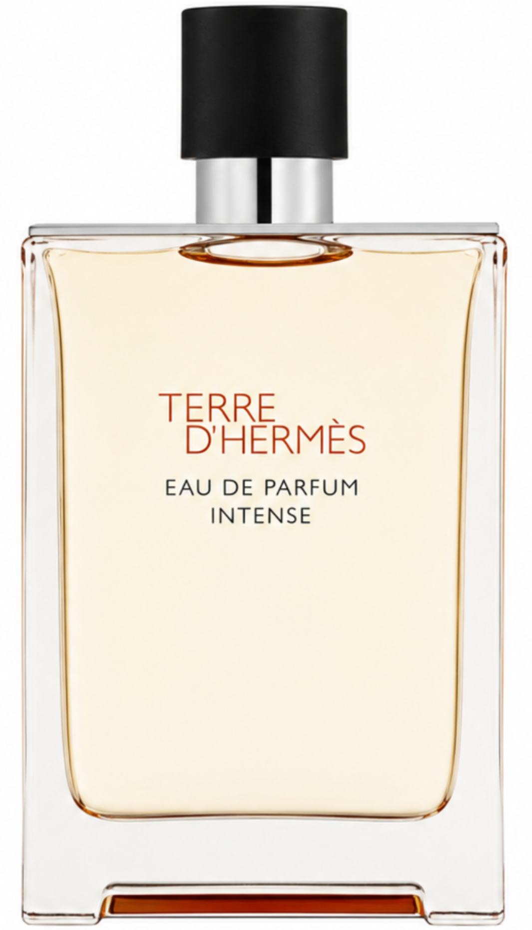 Hermes Terre D'Hermes Intense 3.4oz Men EDP Spray Tester